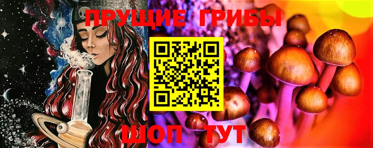 Псилоцибиновые грибы Cubensis  Вход с VPN  Королёв  Галлюциногенные грибы Psilocybine cubensis 